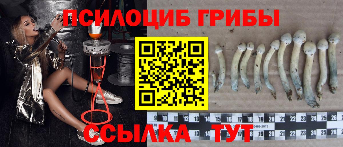Галлюциногенные грибы мухоморы  Вход с VPN  Павлово 